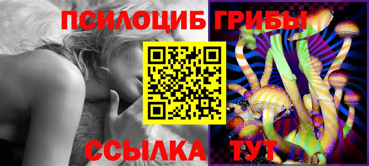 Егорьевск  Псилоцибиновые грибы мухоморы  Вход с VPN 